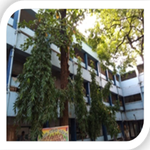 Economics Department